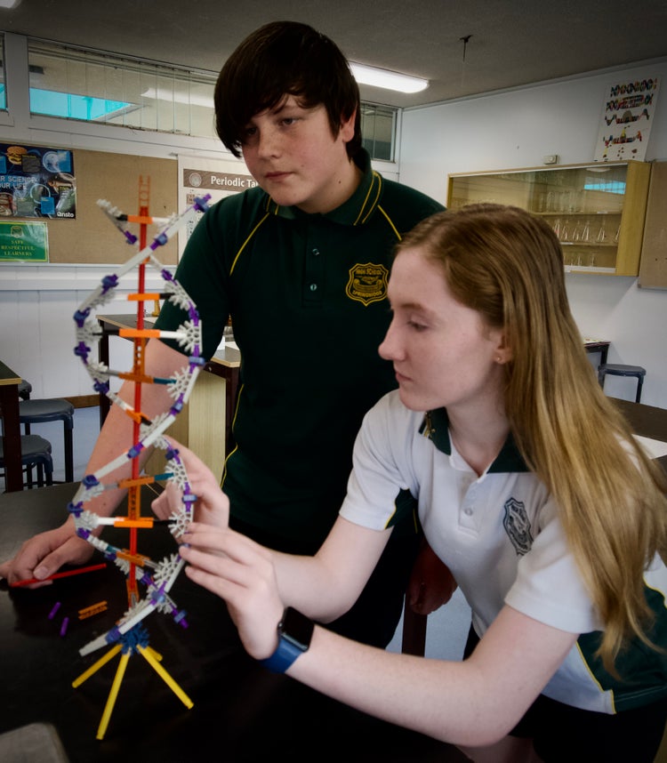 Two students work on a scientific DNA model.